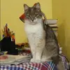 Отзыв от Нелли Суханова